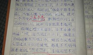 水果们的音乐会作文