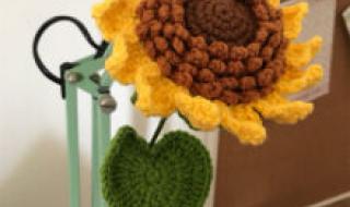 向日葵花束图片 向日葵花束图片