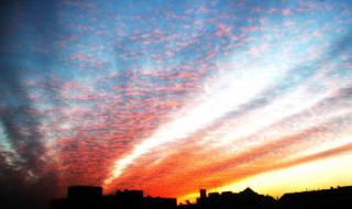 哈尔滨地震了吗刚才 哈尔滨地震了吗刚才