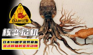 日本核辐射时间 日本核辐射时间